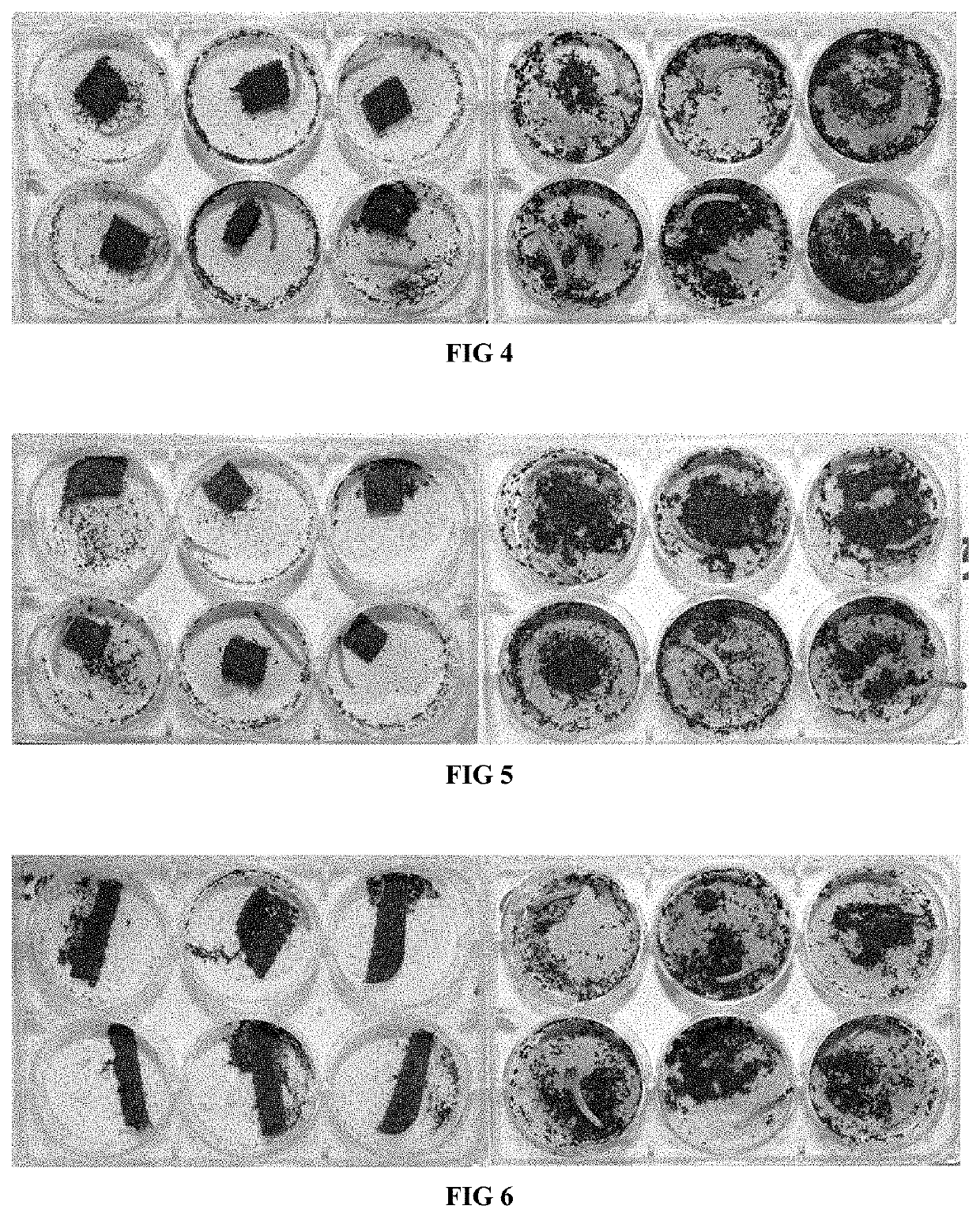 Artificial diet for ghost moth larvae and preparation method thereof