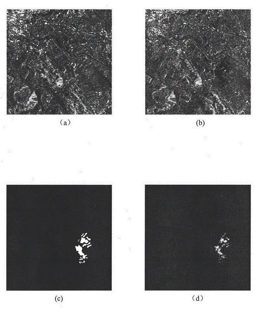 Fuzzy clustering analysis method for detecting synthetic aperture radar (SAR) image changes based on non-local means