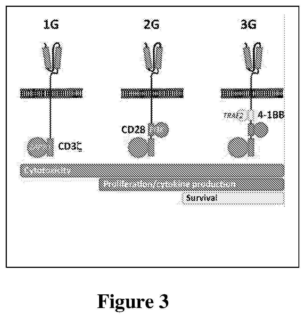 Fviii chimeric antigen receptor tregs for tolerance induction in hemophilia a