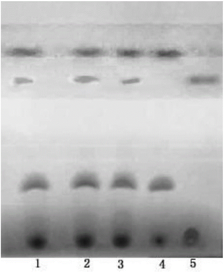 Method for identifying salvia miltiorrhiza in bone-pain medical wine