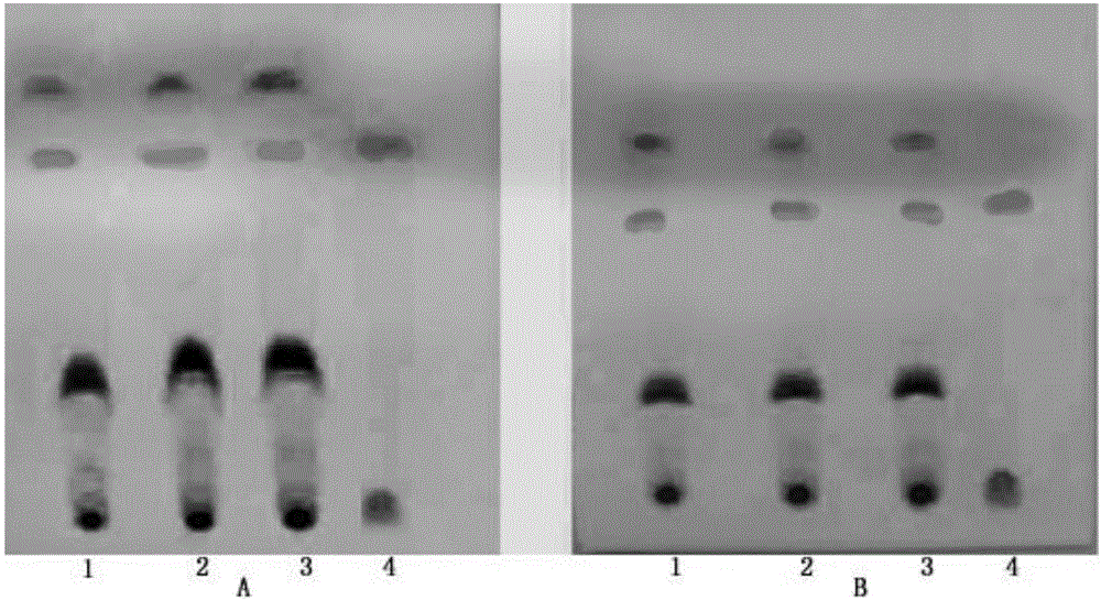 Method for identifying salvia miltiorrhiza in bone-pain medical wine