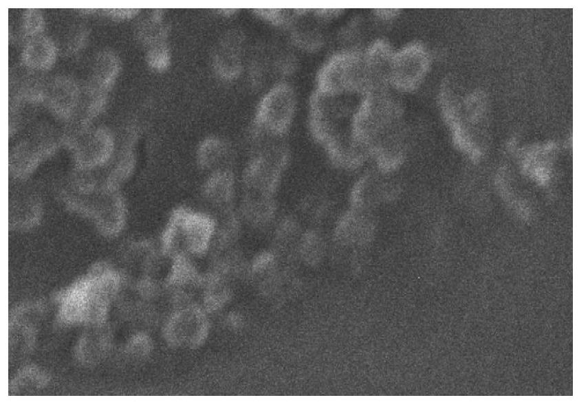 Chitosan nanoparticle composite as well as preparation method and application thereof