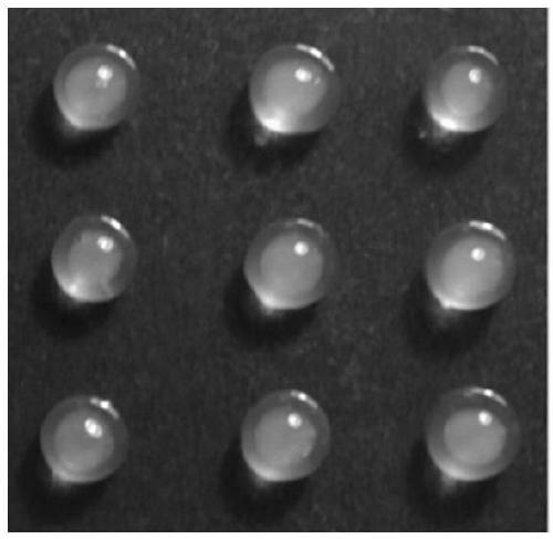 A method for preparing chitosan/sodium alginate natural polymer core-shell microspheres by one-step method