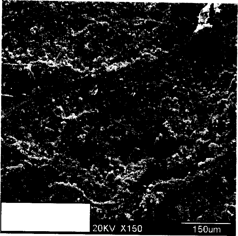 Modified liquid for filter paper of filter and its preparation method and use