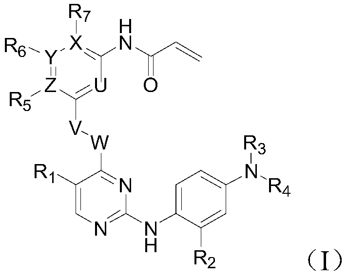 Inhibitor of t790m mutant egfr and its application in the preparation of antitumor drugs