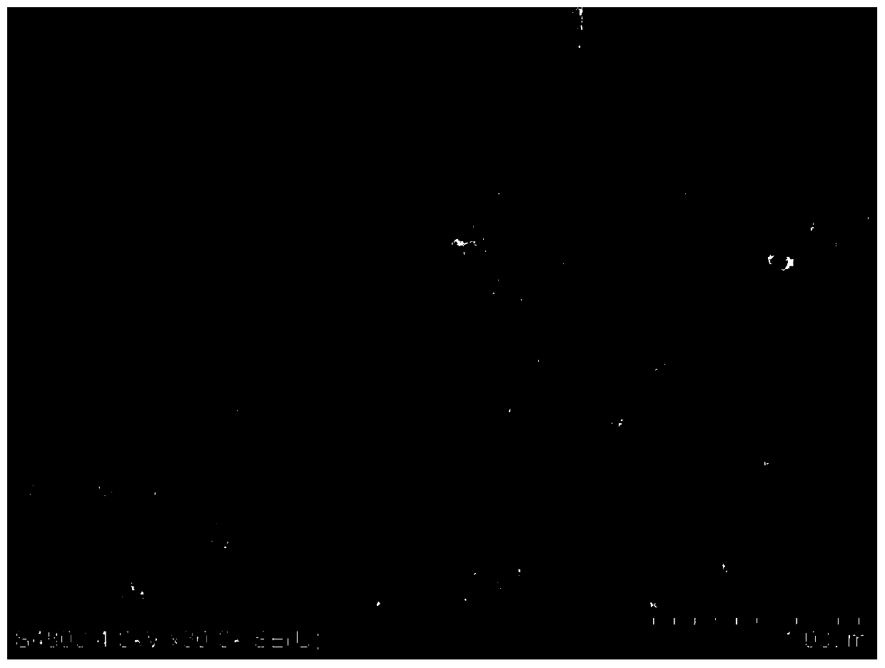 A kind of polymer hollow fiber membrane with large flux symmetrical structure and preparation method thereof