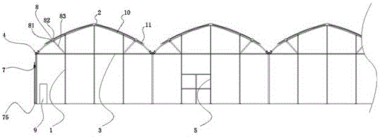 Greenhouse suitable for agricultural large-scale production planting and cultivation cycle operation