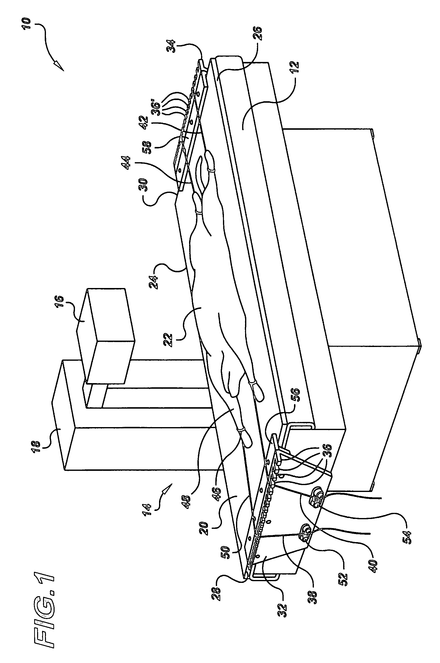 System for rapidly positioning a small animal on a veterinary table