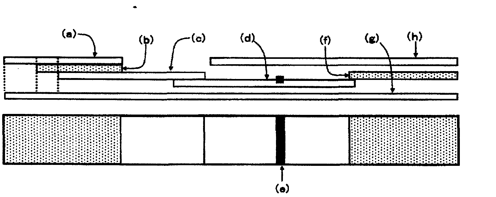 Porous solid phase for binding assay, and binding assay method using the same