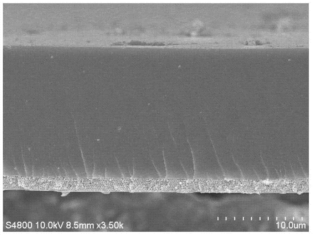 A kind of flexible intelligent film material with photonic energy band structure and its preparation method