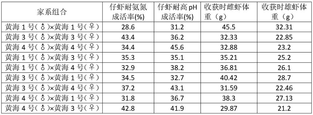 Breeding method of fast-growing stress-resistant type penaeus chinensis commercial line