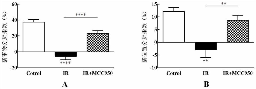 Application of a compound in the preparation of drugs for preventing or treating cognitive impairment caused by ionizing radiation