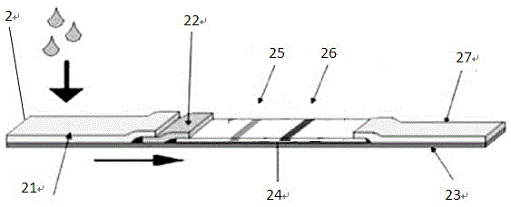 Chlamydia pneumoniae detection reagent card and kit and detection method