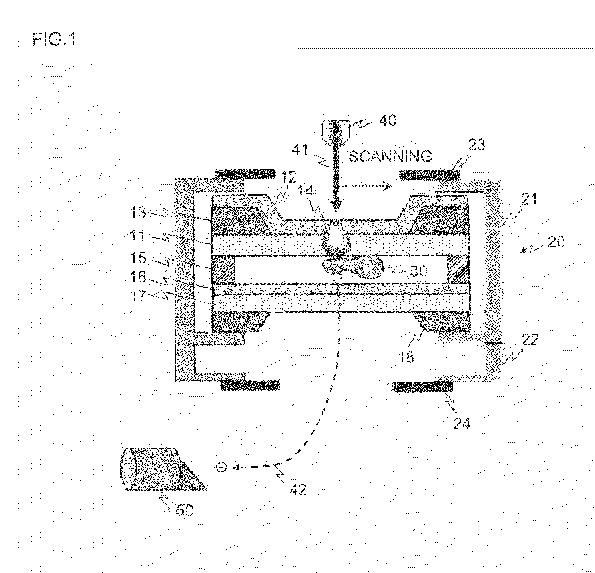 Sample holder and method for observing electron microscopic image