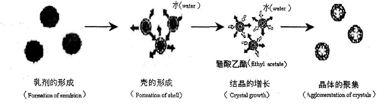 Solid self-microemulsion based on spherical crystallization technique and preparation method thereof