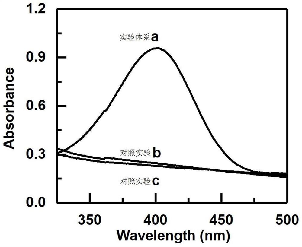 Ce-N-C nano-enzyme and application thereof in organophosphorus pesticide residue detection