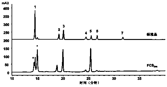 Novel fucosylated chondroitin sulfate FCS hm and preparation method and application thereof