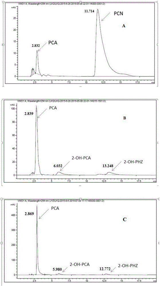 Genetic engineering strain used for producing 2-hydroxyphenazine and preparation method and application genetic engineering strain
