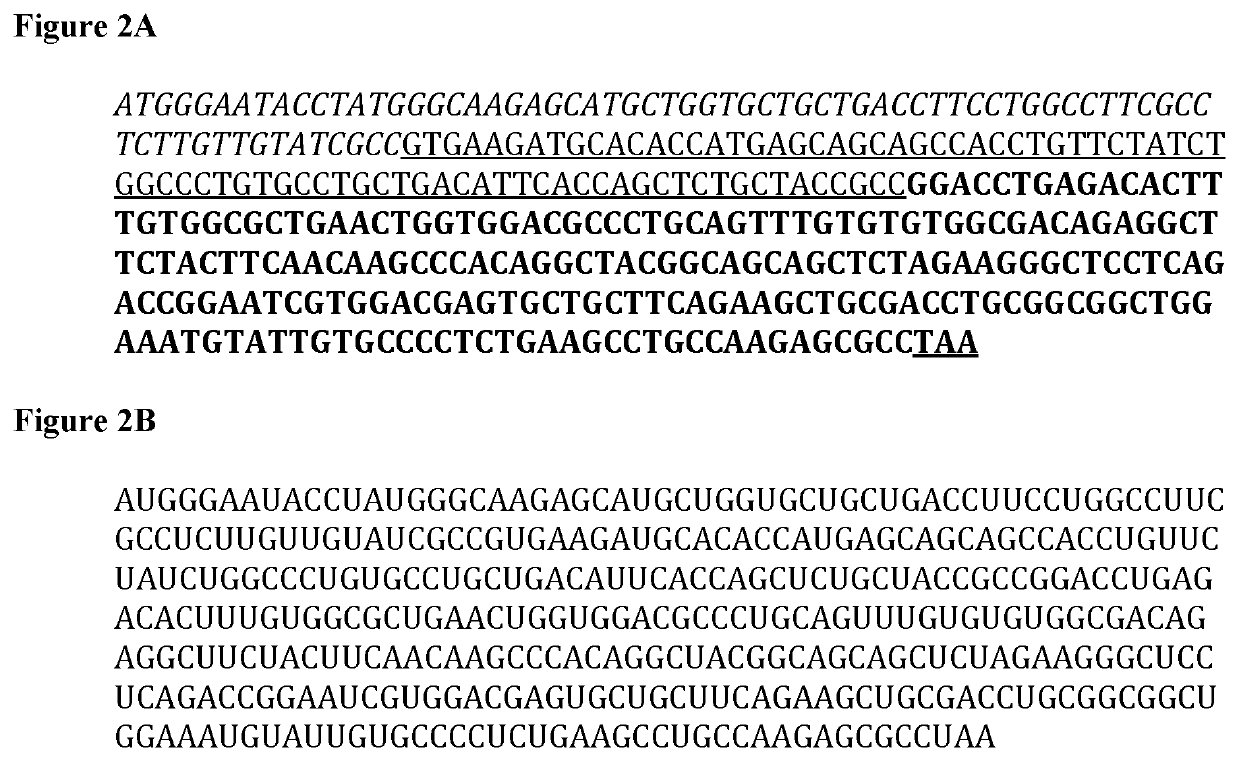 RNA encoding a protein