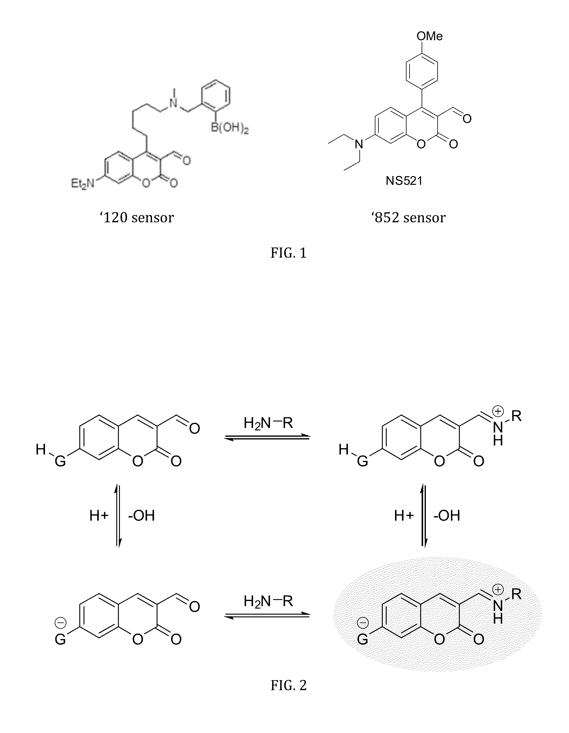 ph-sensitive fluorescent sensors for biological amines