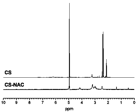 A kind of synthetic method of bioadhesive thiol chitosan