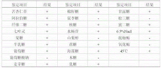 Enterococcus facium strain and application thereof