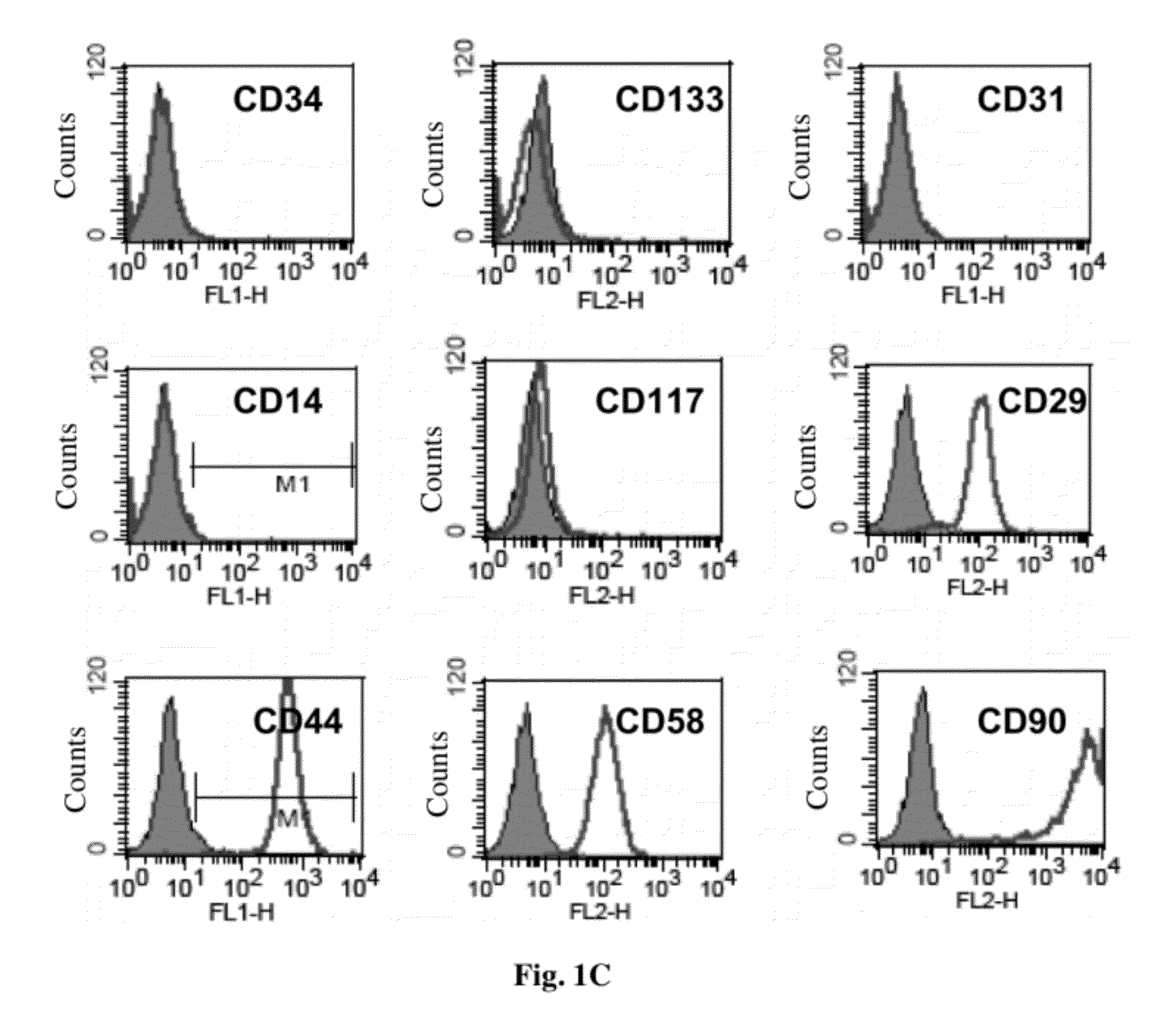 Cell population comprising orbital fat-derived stem cells (OFSCS) and their isolation and applications