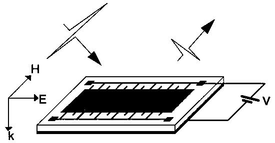 Resonant cavity type terahertz device and preparation method thereof