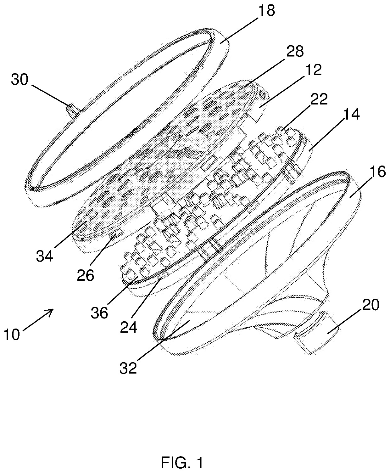 Translucent shower head