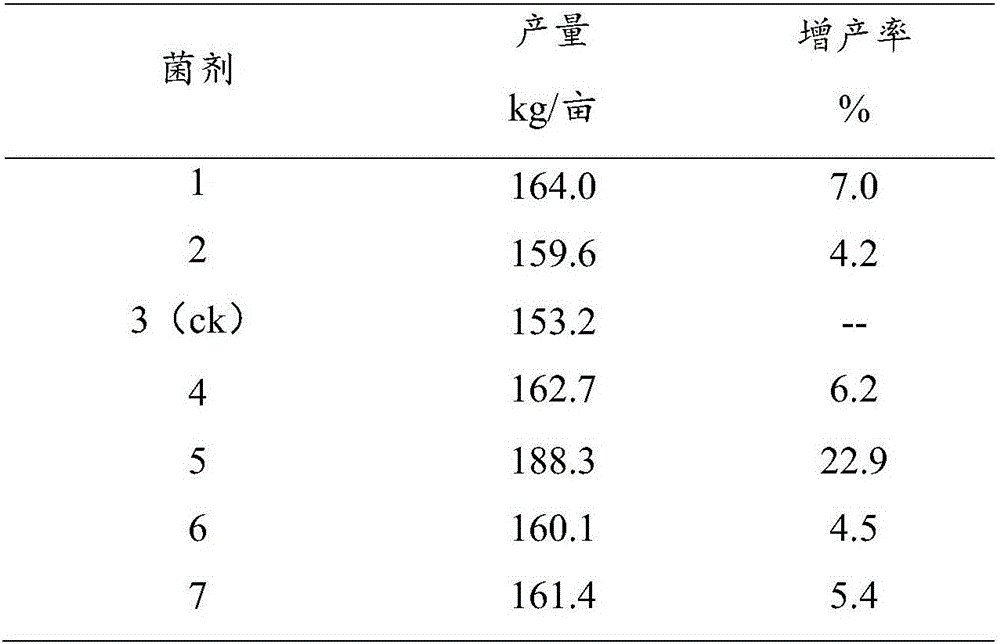 Bio-organic fertilizer, as well as preparation method and application thereof