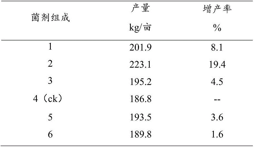 Bio-organic fertilizer, as well as preparation method and application thereof