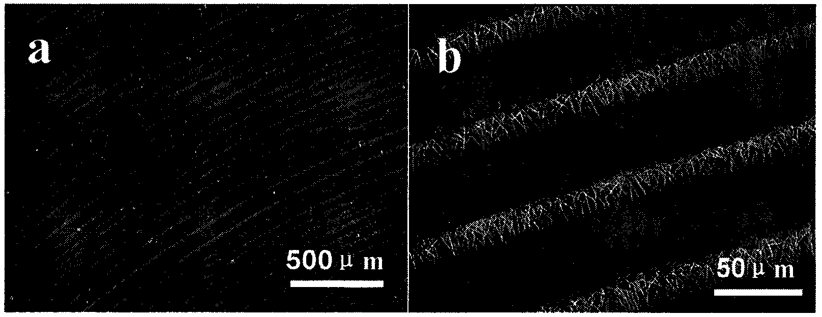 Method for arranging one-dimensional organic nano materials in orientating and patterning manner