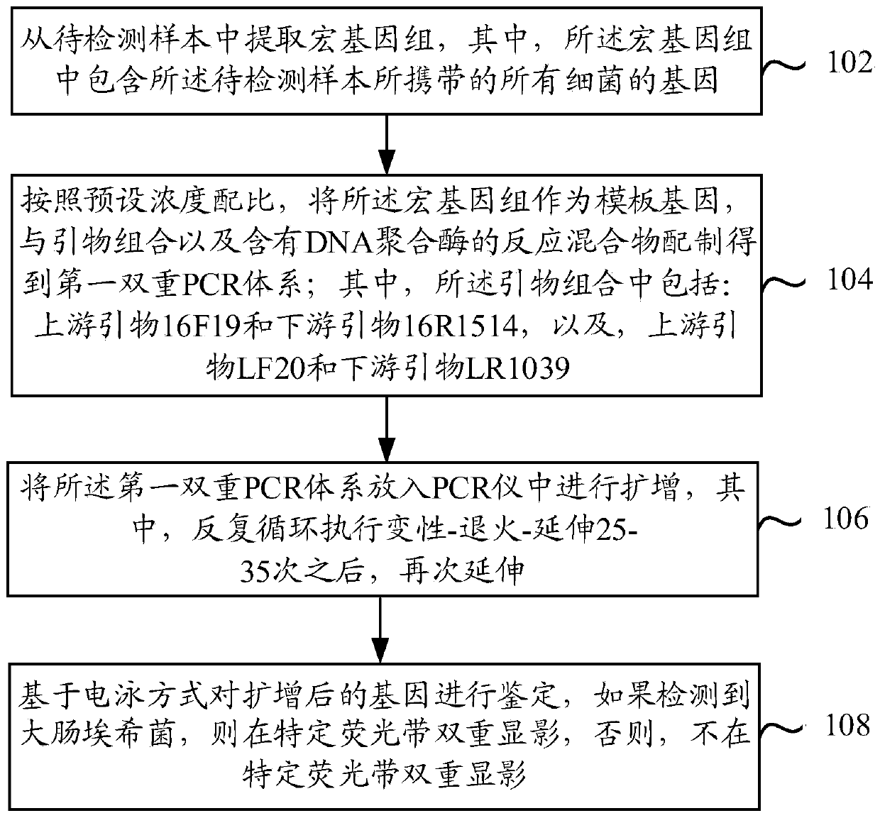 Method and kit for detecting Escherichia coli