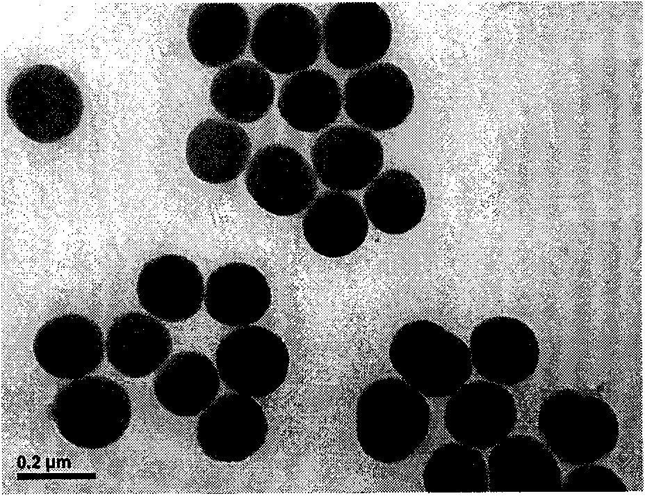 Fluorescent conjugated polymer silicon oxide nanoparticle preparation method and application thereof
