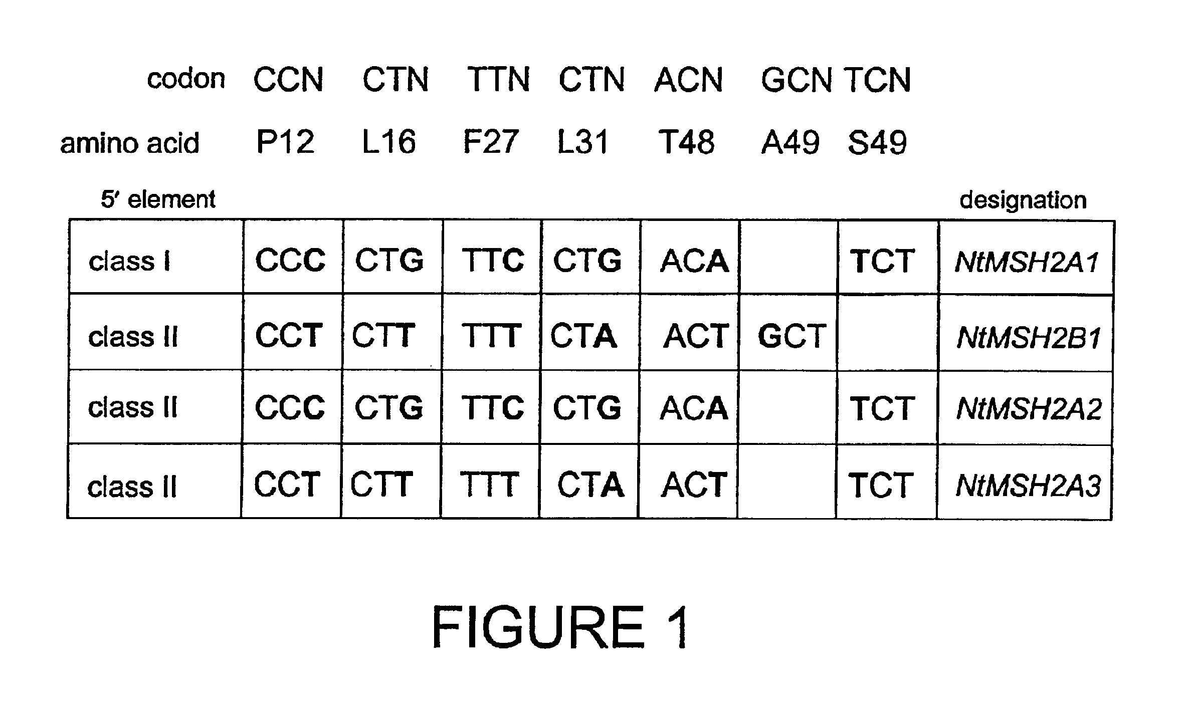 Plant MSH2 sequences and methods of use