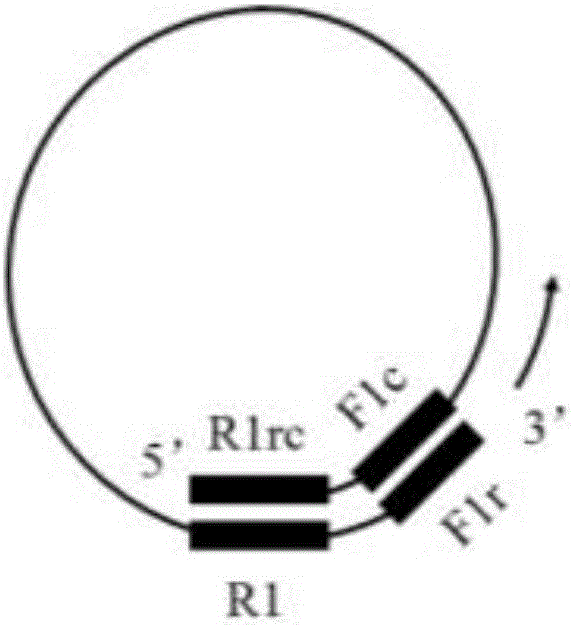 Method for synthesizing nucleic acid under constant-temperature condition