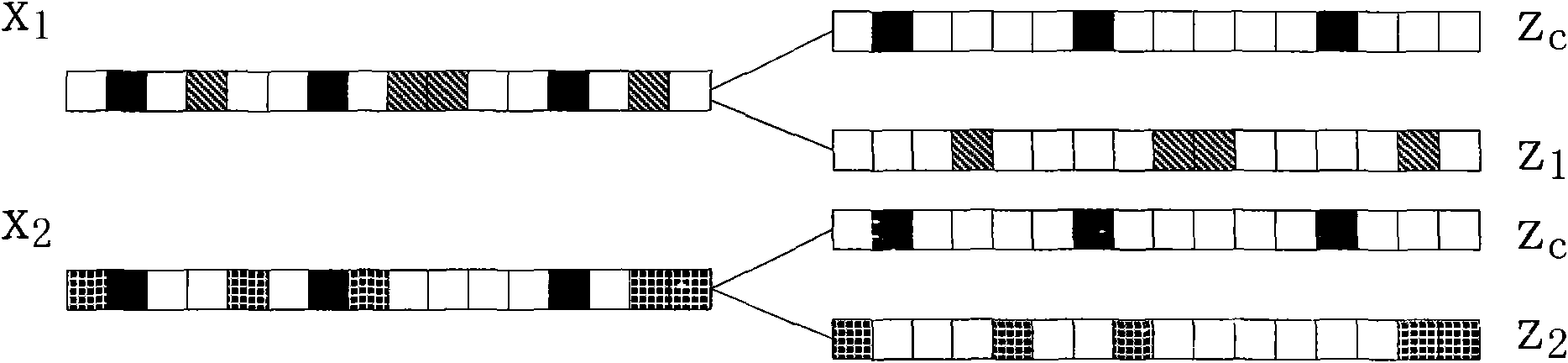 Signal source encoding method based on distributed compressive sensing technology