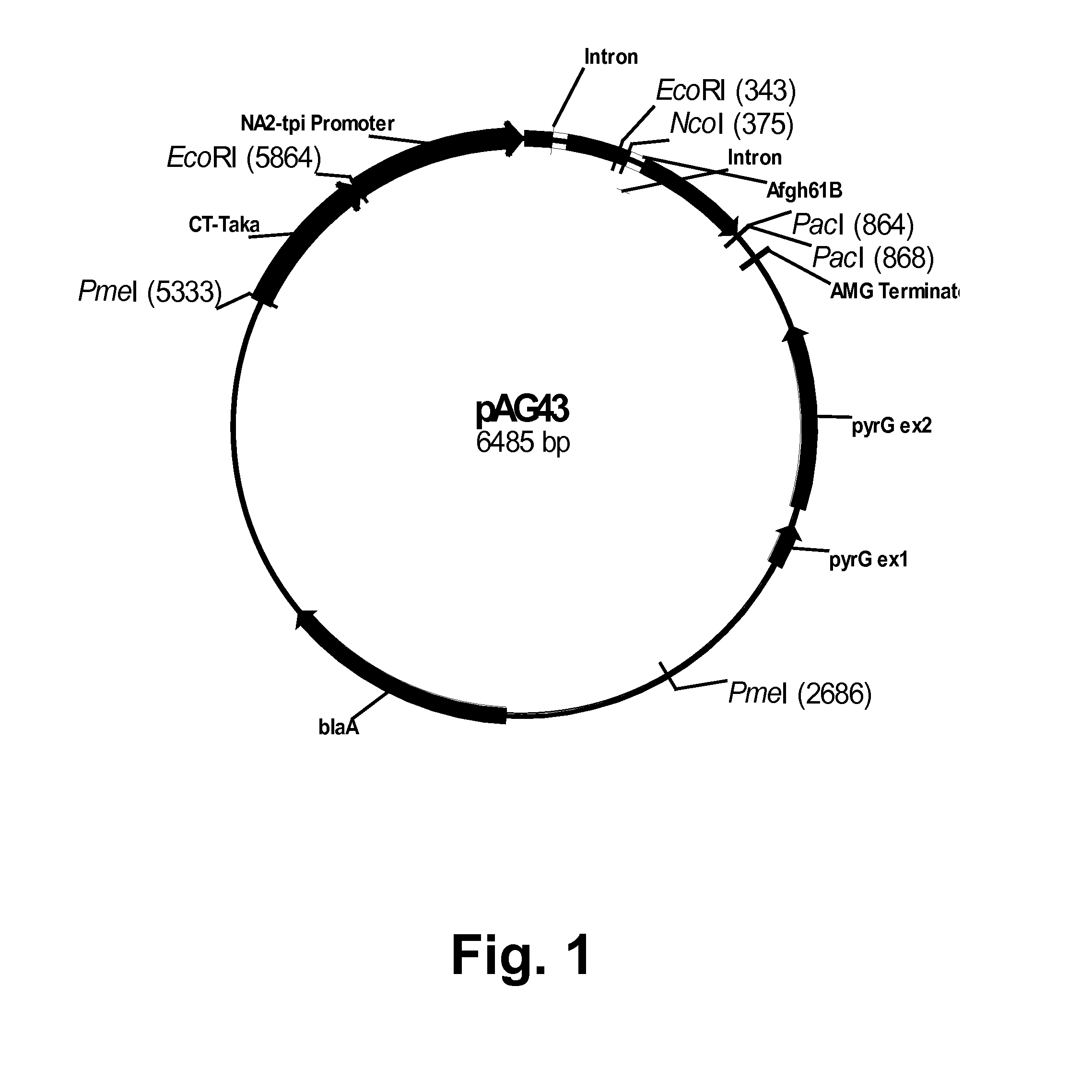 Methods For Producing Multiple Recombinant Polypeptides In A Filamentous Fungal Host Cell
