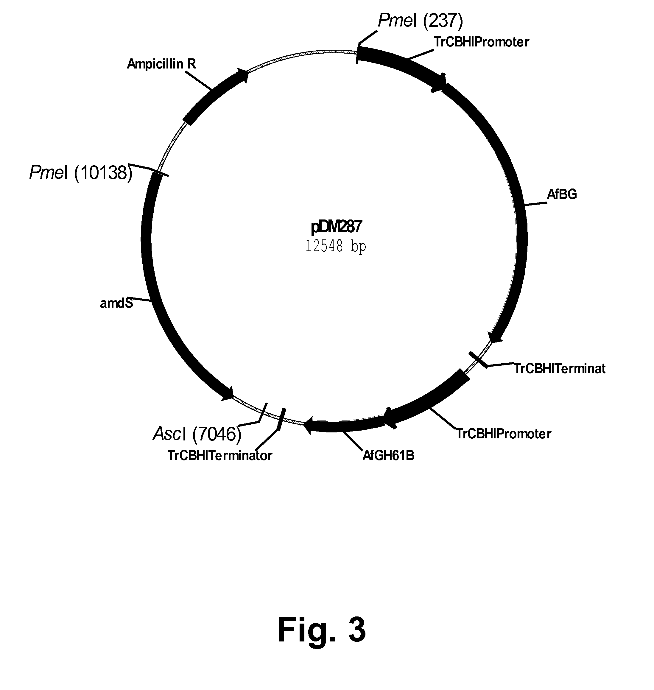 Methods For Producing Multiple Recombinant Polypeptides In A Filamentous Fungal Host Cell