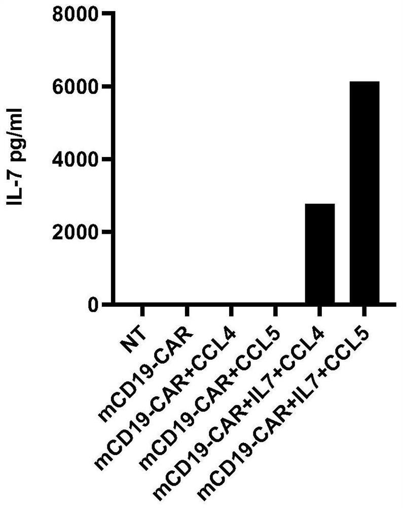 Engineered immune cells and uses thereof