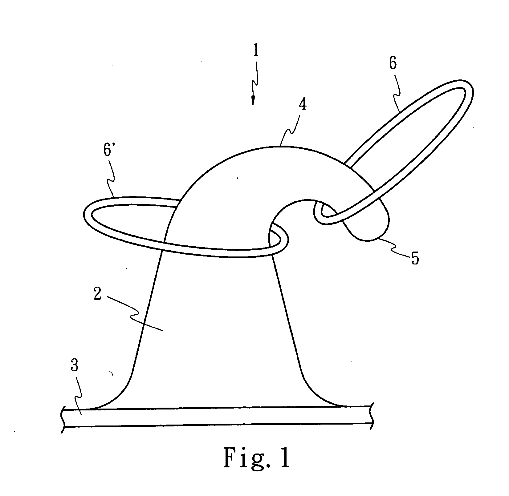 Hook structure and injection molded hook strap including the same