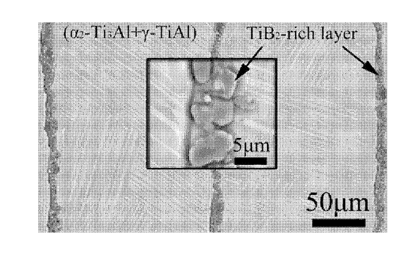 Ceramic-TiAl micro-laminated composite material board and preparation method thereof