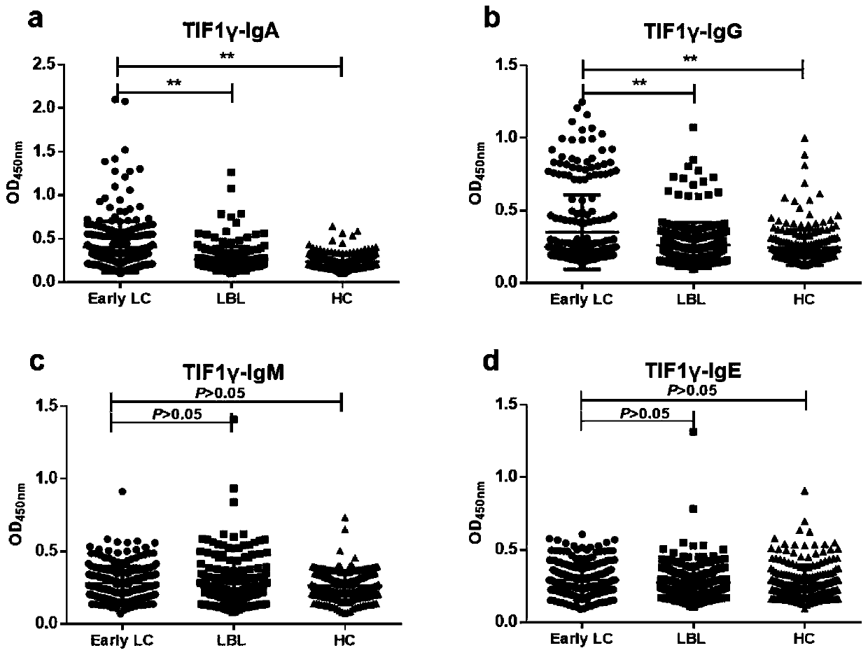 Application of anti-TIF1 gamma-IgA and anti-TIF1 gamma-IgG as combined diagnosis marker in lung cancer diagnosis