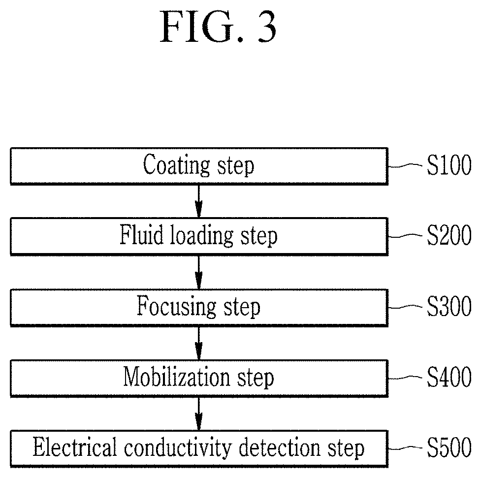 Single point detection type microfluidic isoelectric focusing assay and chips using the same