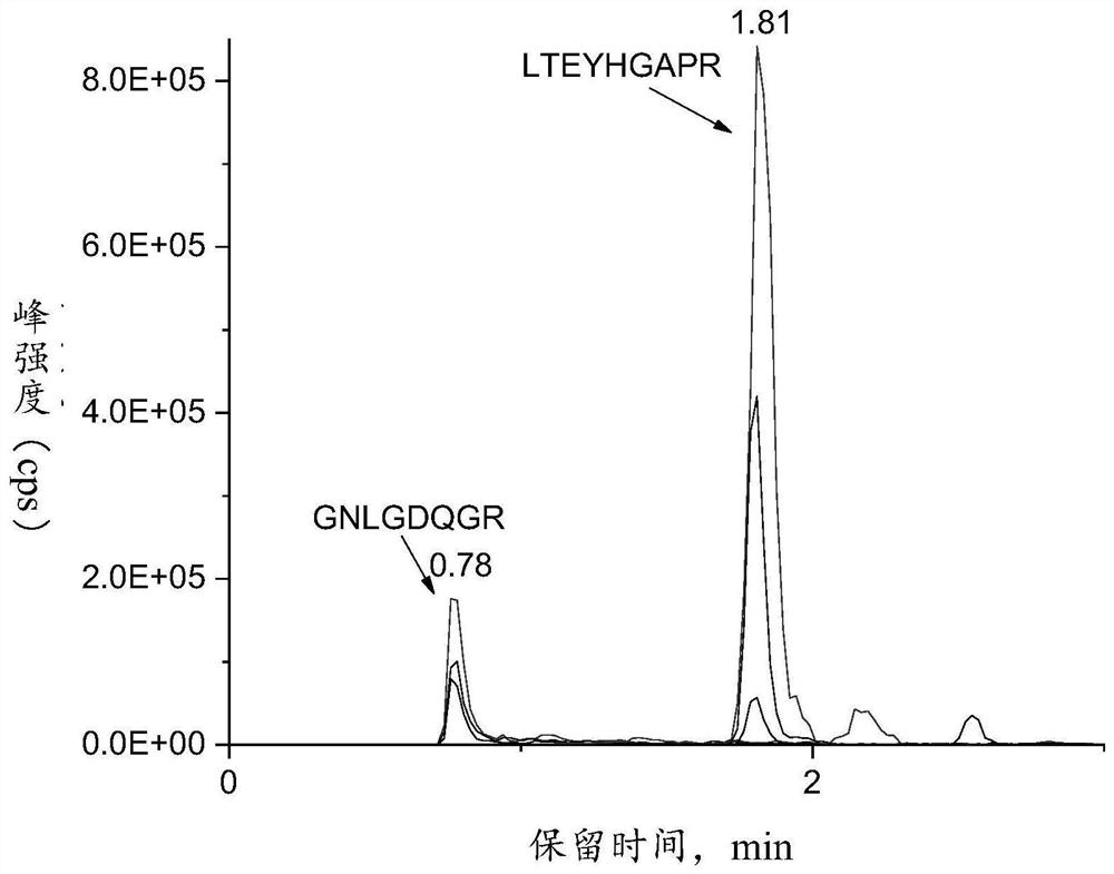 A kind of exclusive characteristic peptide segment and the method for identifying sea cucumber species using the same