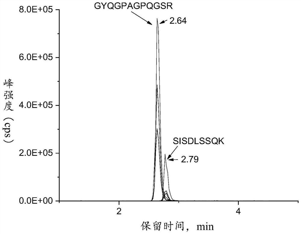 A kind of exclusive characteristic peptide segment and the method for identifying sea cucumber species using the same