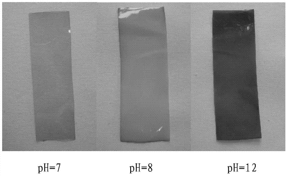Ph responsive polyion liquid composite membrane and preparation method thereof