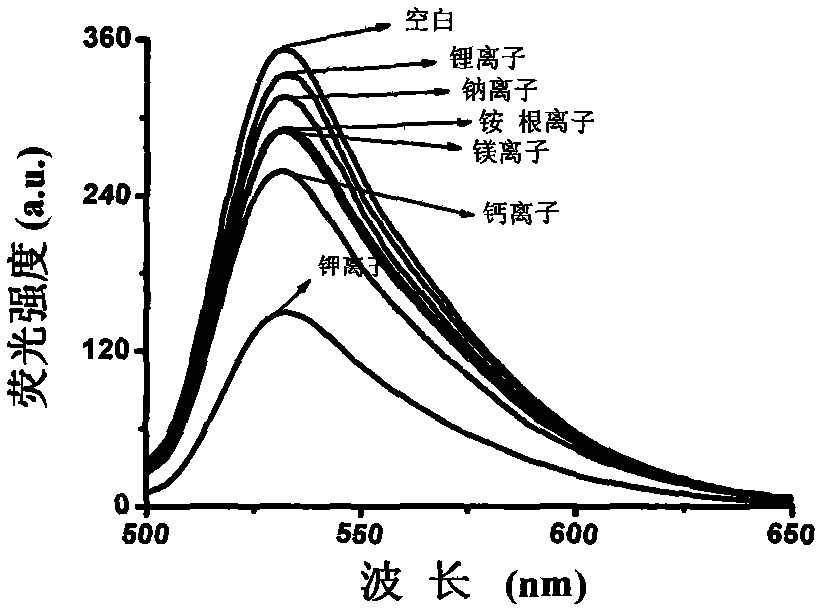 Fluorescence detection method of potassium ion