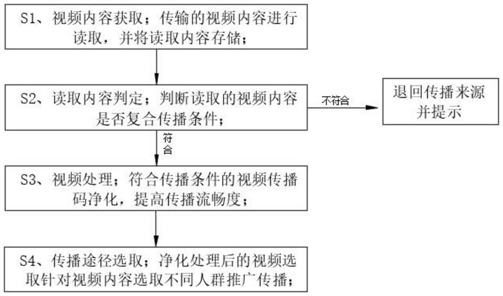 Monitoring method and system based on video propagation chain