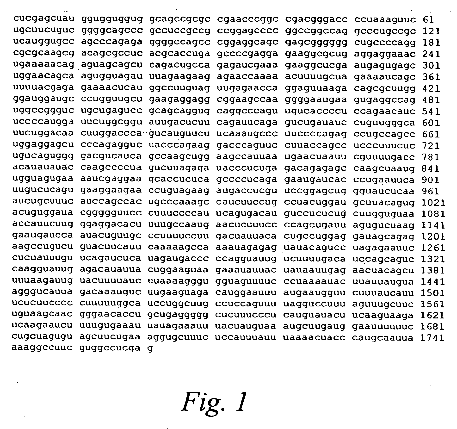 Novel genes, compositions, and methods for modulating the unfolded protein response